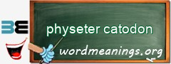 WordMeaning blackboard for physeter catodon